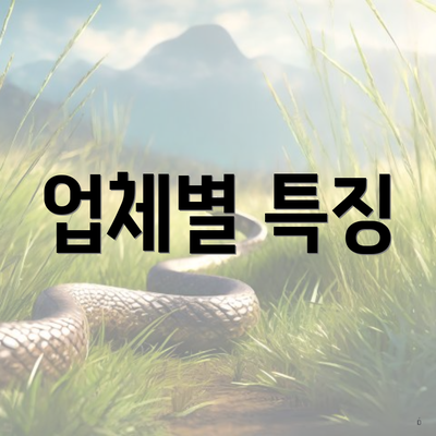 업체별 특징