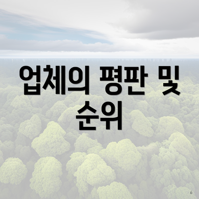 업체의 평판 및 순위