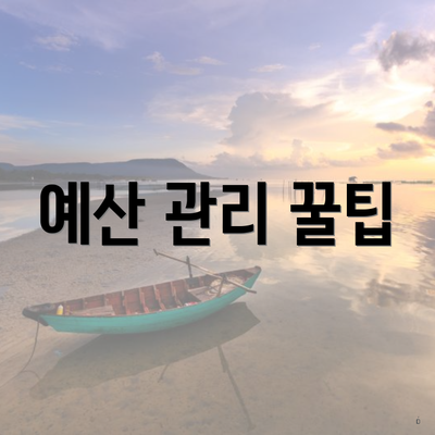 예산 관리 꿀팁