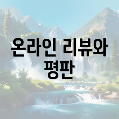 온라인 리뷰와 평판