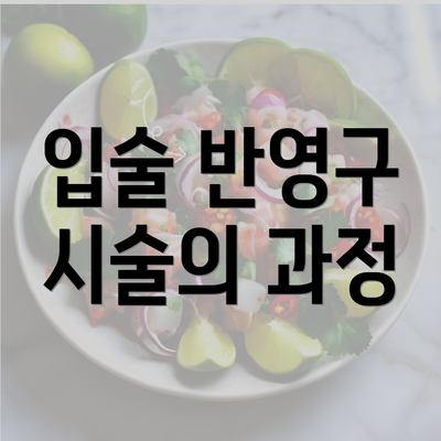 입술 반영구 시술의 과정