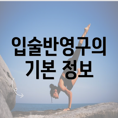 입술반영구의 기본 정보