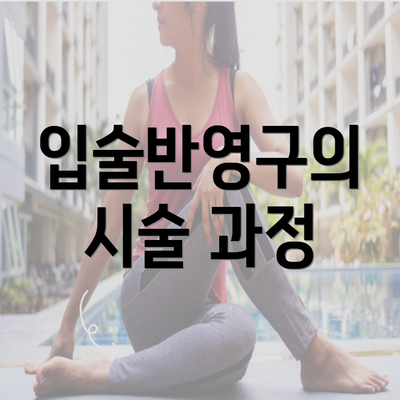 입술반영구의 시술 과정