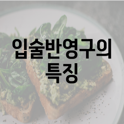 입술반영구의 특징