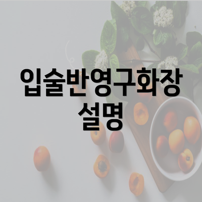 입술반영구화장 설명