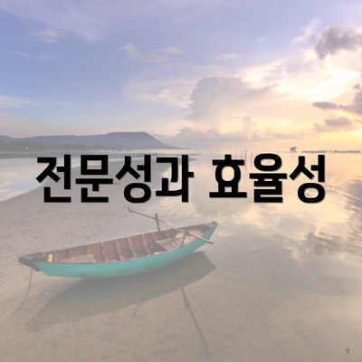 전문성과 효율성