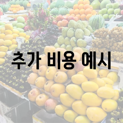 추가 비용 예시