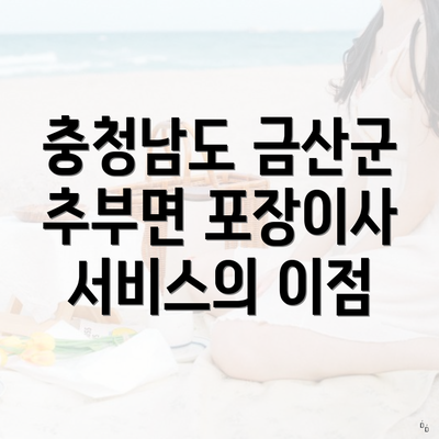 충청남도 금산군 추부면 포장이사 서비스의 이점