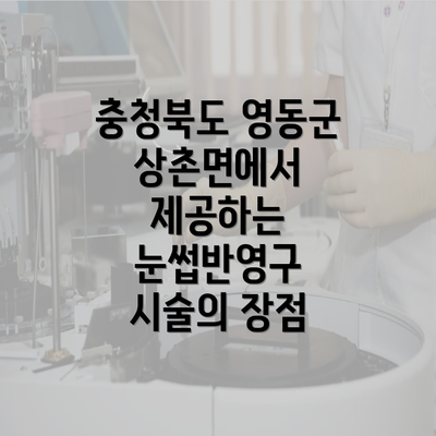 충청북도 영동군 상촌면에서 제공하는 눈썹반영구 시술의 장점