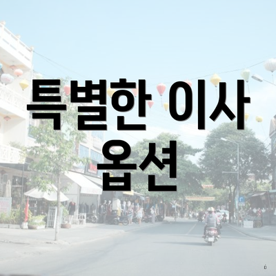 특별한 이사 옵션