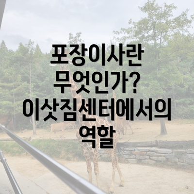 포장이사란 무엇인가? 이삿짐센터에서의 역할