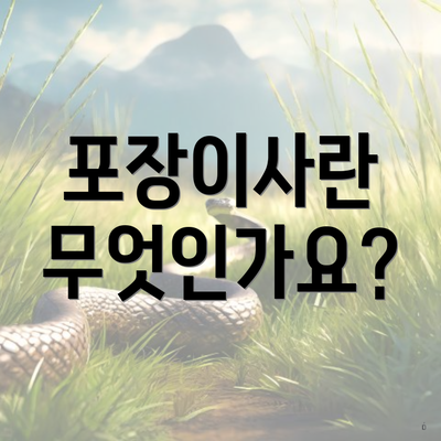 포장이사란 무엇인가요?