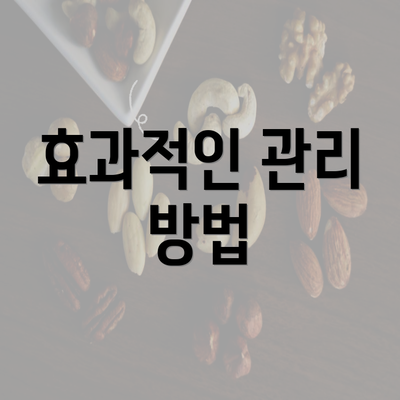 효과적인 관리 방법