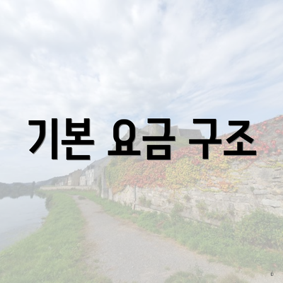 기본 요금 구조